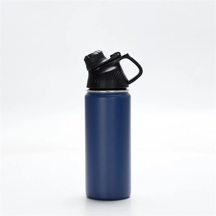 Stainless Steel Water Bottle with Straw Lid & Spout Lid Insulated Sports Bottle